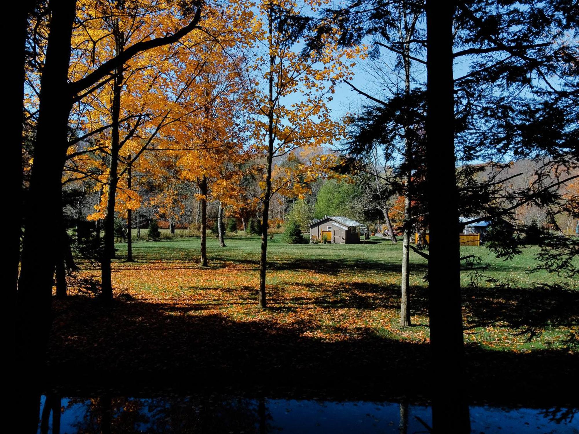 Antrim Streamside Hotel Livingston Manor Bagian luar foto
